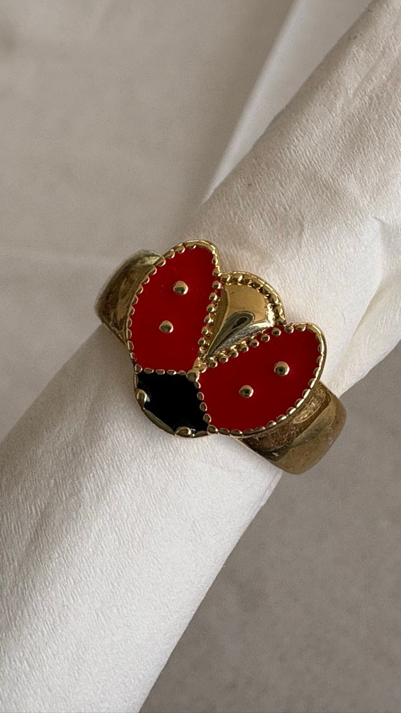 Imagen 1 de Anillo acero dorado catarina