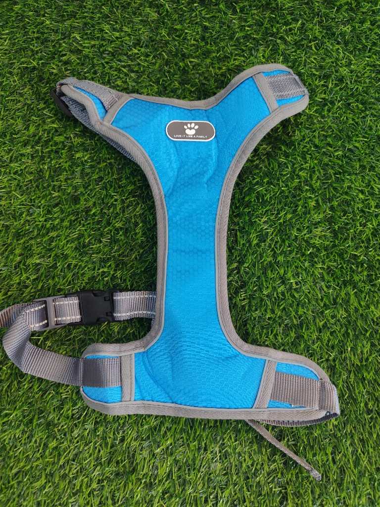 Imagen 1 de Arnes azul para perro XL