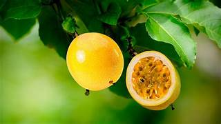 Imagen 1 de Jugo de Maracuyá