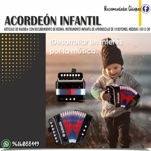 Imagen 1 de Acordeón Infantil
