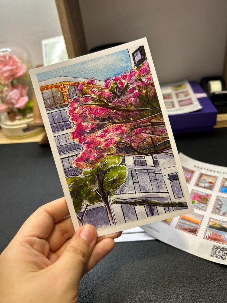 Imagen 1 de Kit 10 postales Matilisguate