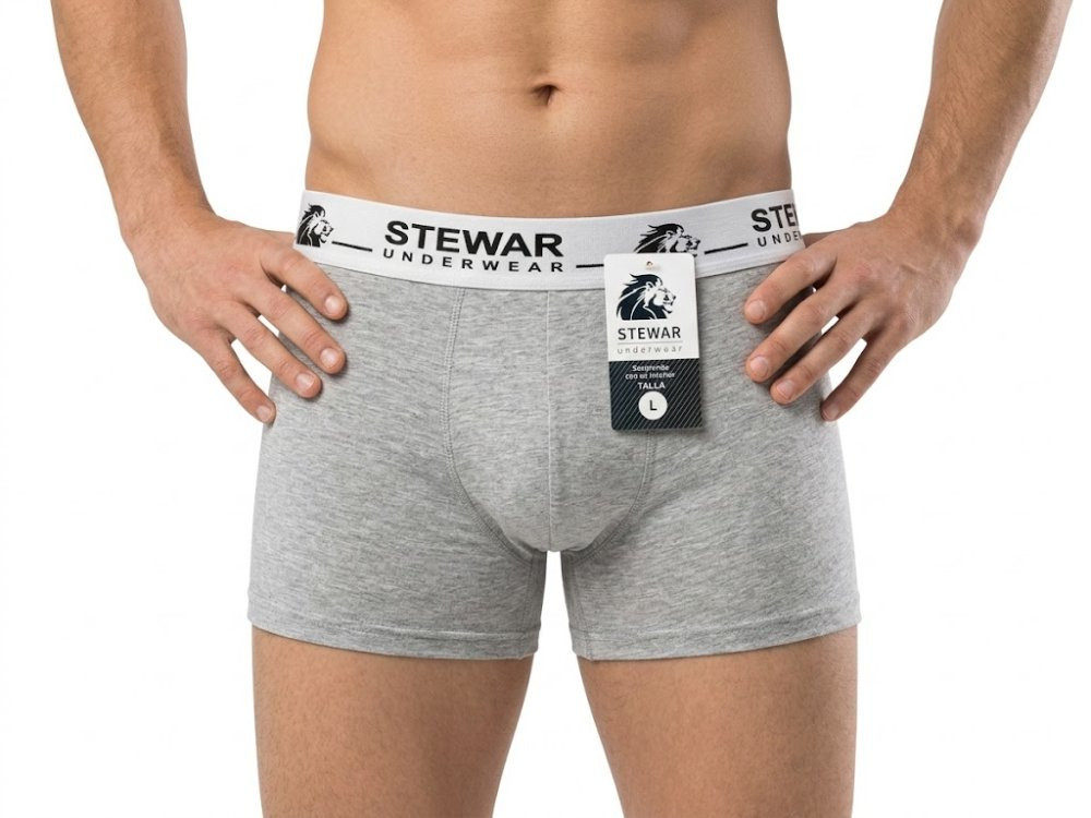 Imagen 1 de Boxer Gris Perla talla L