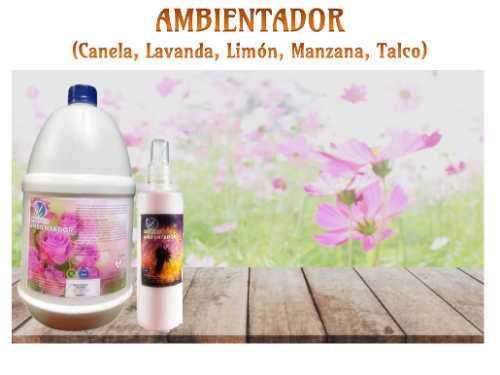 Imagen 1 de Ambientador 2.000cc