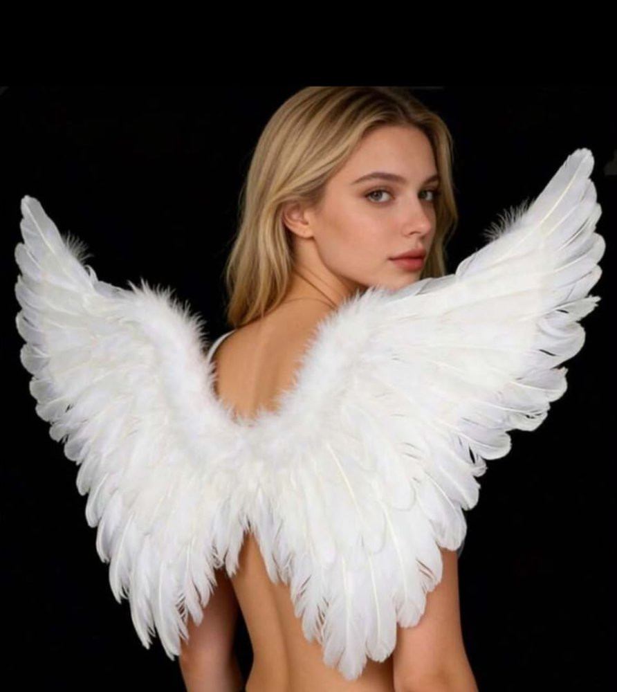 Imagen 1 de Alas de Angel