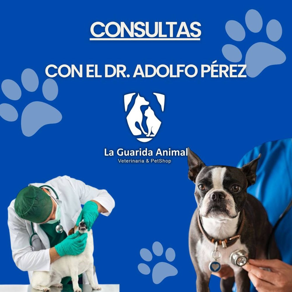 Imagen 1 de Consultas
