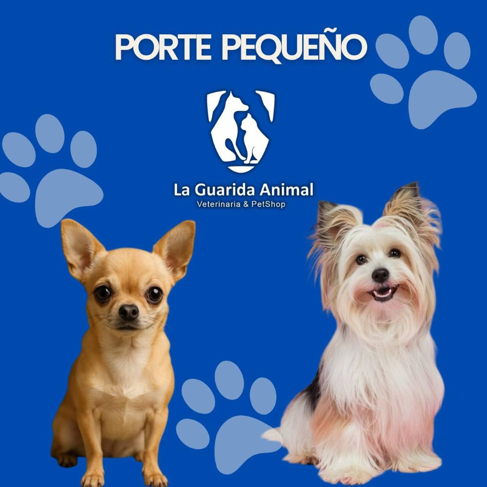Imagen 1 de Plan Mensual Combo Pequeño