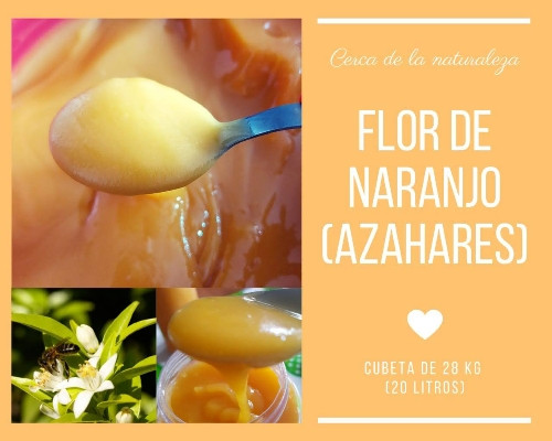 Imagen 1 de Cubeta de miel de naranjo