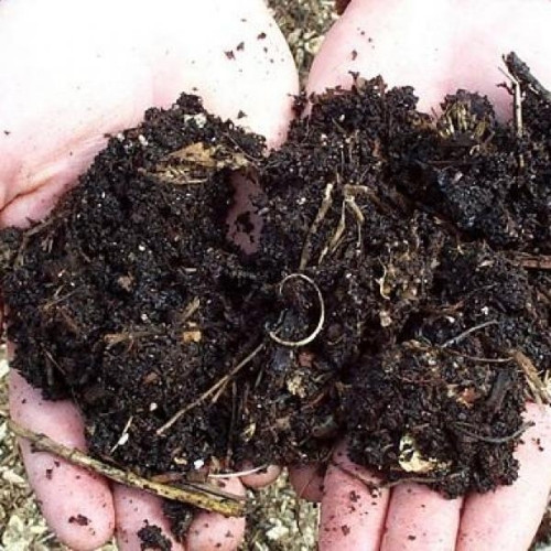 Imagen 1 de Abono organico