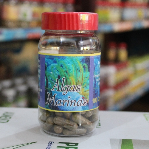 Imagen 1 de ALGAS MARINAS