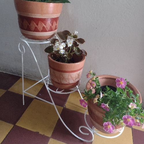 Imagen 1 de 3 puestos baja 42* 66 cm diámetro 18cm 