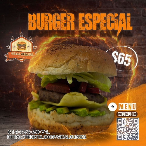 Imagen 1 de Burger Especial