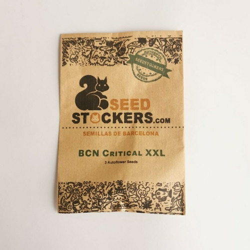 Imagen 1 de BCN Critical XXL
