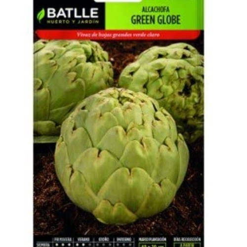 Imagen 1 de Alcachofa Var. Green Globe x Cucharada