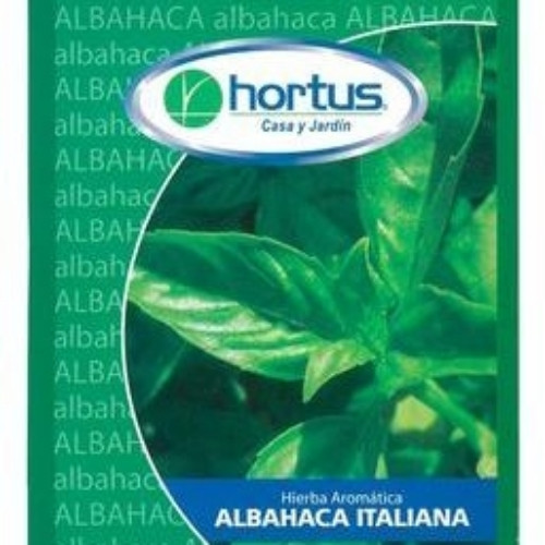 Imagen 1 de Albahaca Var. Learge Leaf x Cucharada