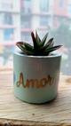 Imagen 1 de Cilindrica "Amor" Verde Agua
