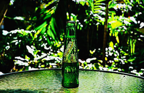 Imagen 1 de COSTEÑITA  $ 2.000 UND