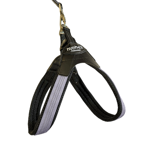 Imagen 1 de Arnes gris
