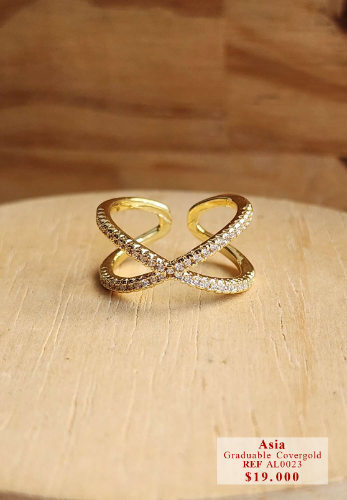 Imagen 1 de Anillo ASIA