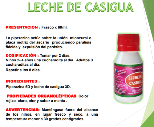Imagen 1 de LECHE DE CASIGUA: La piperazina actúa sobre la unión mioneural o placa motriz del áscaris produciendo parálisis flácida y expulsión del parásito.
