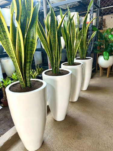 Imagen 1 de A. Macetera Conica