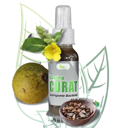 Imagen 1 de LIVING CURAT