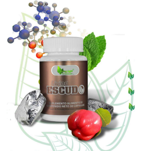 Imagen 1 de LIVING ESCUDO