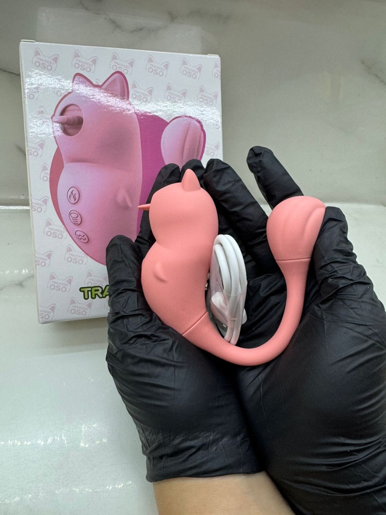 Imagen 1 de Oso travieso