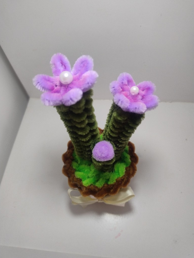 Imagen 1 de Cactus