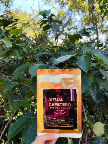 Imagen 1 de 250 gr de Café especial variedad castillo (molido o en grano)
