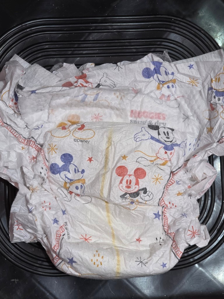 Imagen 1 de Pañal desechable E5