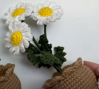 Imagen 1 de Blancas de sueño (3 margaritas)