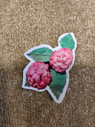 Imagem 1 de Adesivo Tima Poesia G (cravo)