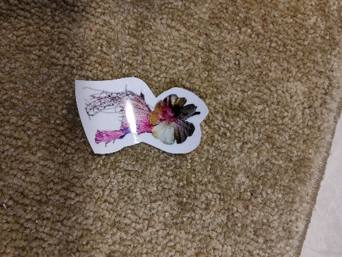 Imagem 1 de Adesivo Tima Poesia M (pessegueiro)