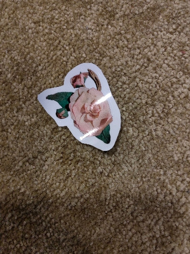 Imagem 1 de Adesivo Tima Poesia M (rosa com botão)