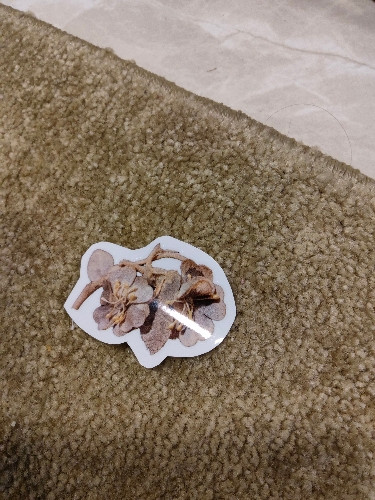 Imagem 1 de Adesivo Tima Poesia M (azul)