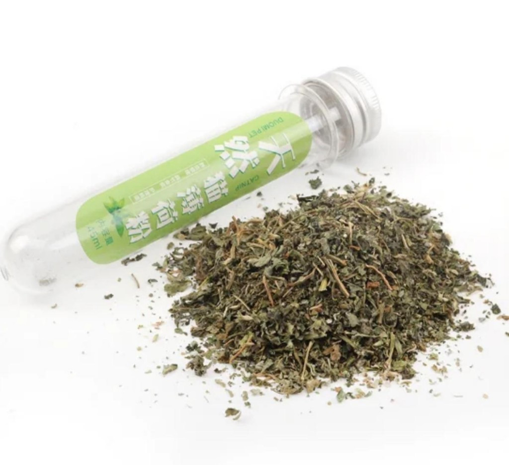 Imagen 1 de 0015 CATNIP EN FRASCO
