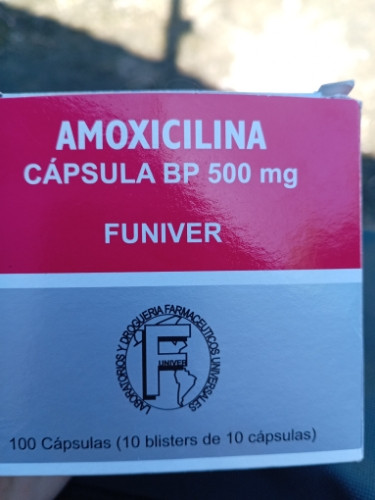 Imagen 1 de Amoxicilina