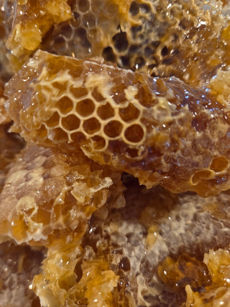 Imagen 1 de MIEL de Abeja (Litro)