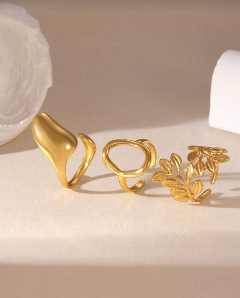 Imagen 1 de Anillos 006