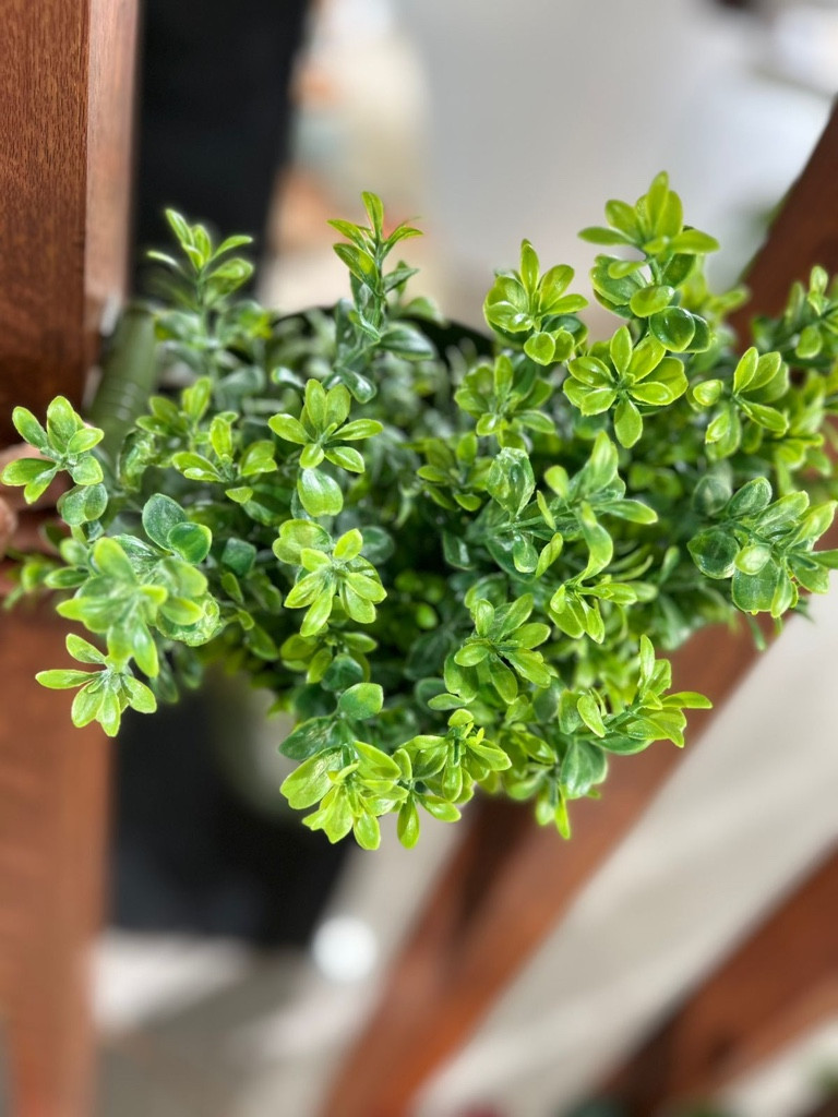 Imagen 1 de HG-AP008 Rama césped