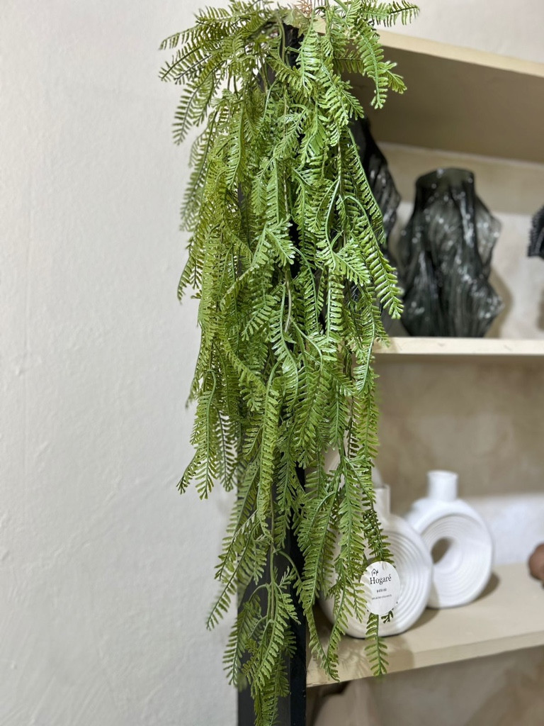 Imagen 1 de HG-AP001 Helecho colgante