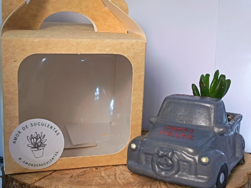 Imagen 1 de Carro Platón Personalizado "Carro Taller"