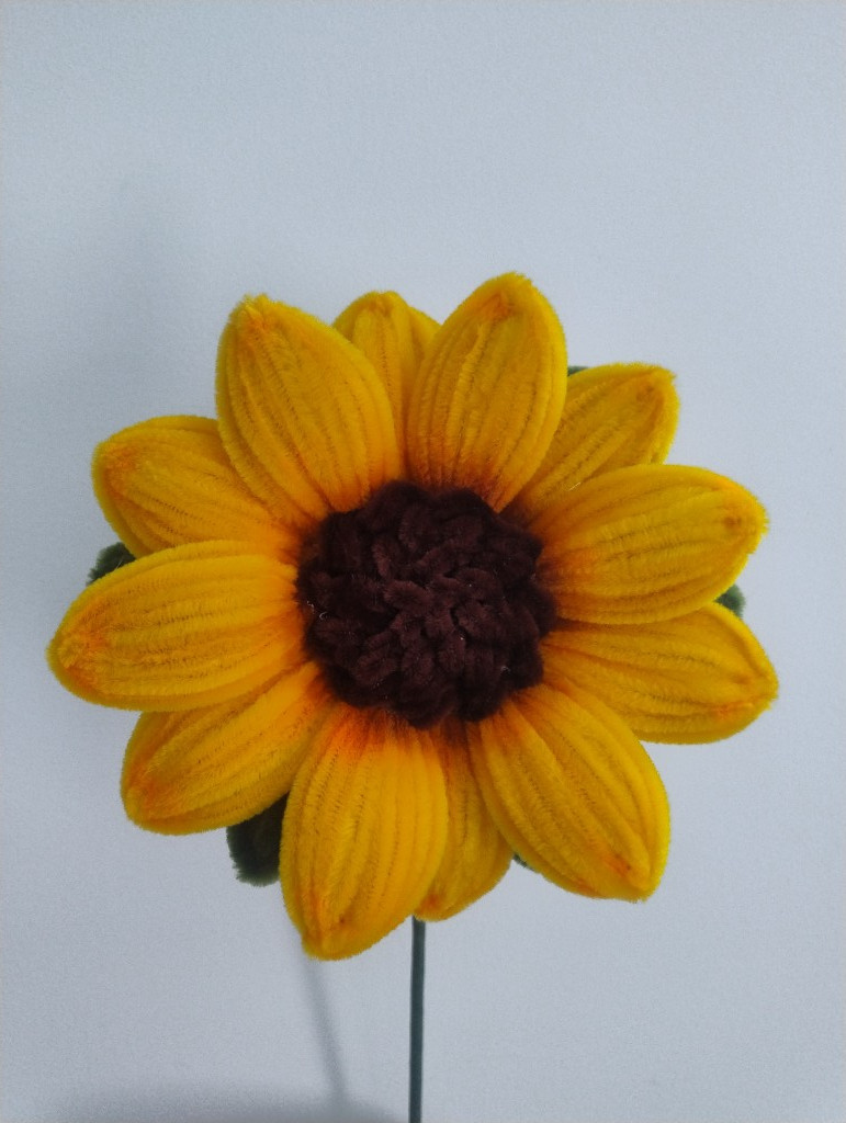 Imagen 1 de Girasol