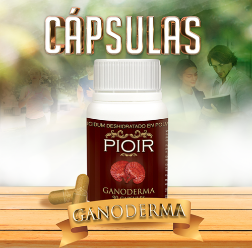 Imagen 1 de PIOIR Cápsulas Ganoderma