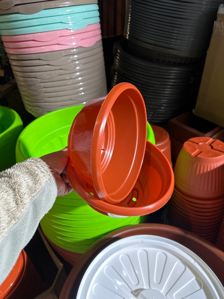 Imagen 1 de 20 cm paila