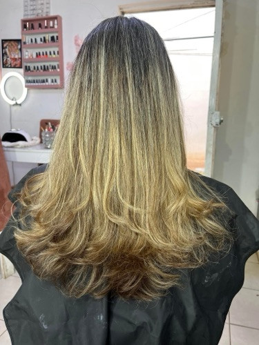 Imagen 1 de Corte dama