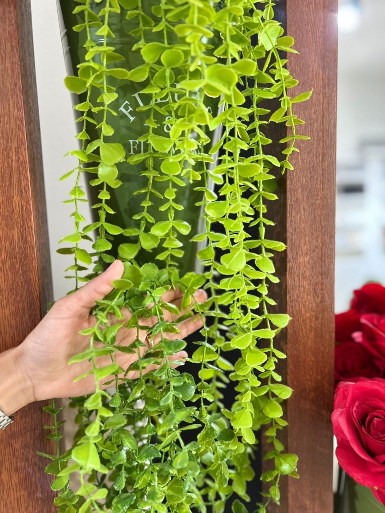 Imagen 1 de HG-AP002 Halgas colgantes