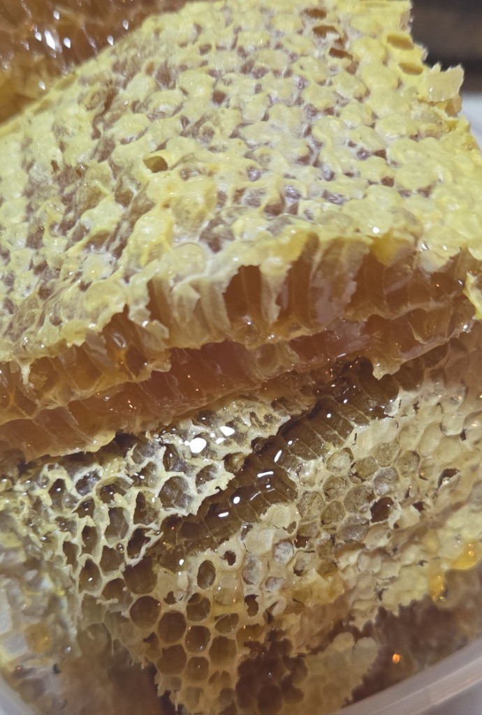 Imagen 1 de MIEL de Abeja (Galón)