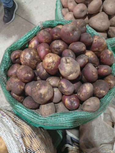 Imagen 1 de Tocarreña