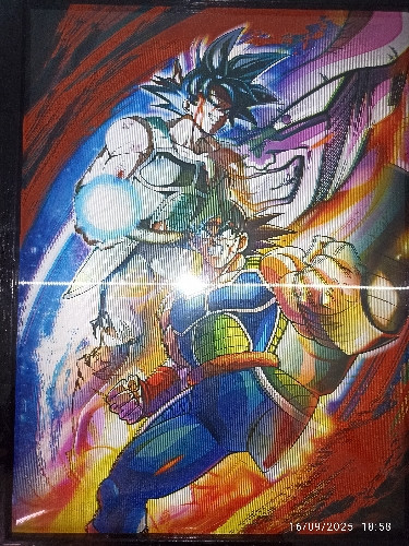 Imagen 1 de Cuadro Bardock